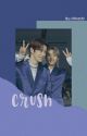 CRUSH [ Sungtaro ] ✔ by Hlmtzhr