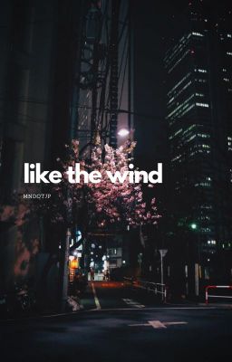 like the wind | xiao x reader cover