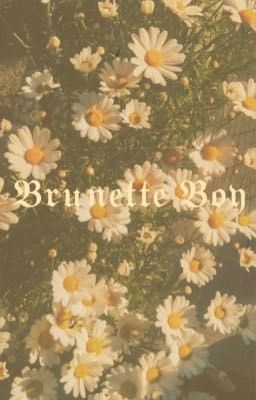 Brunette Boy (DISCONTINUED) cover