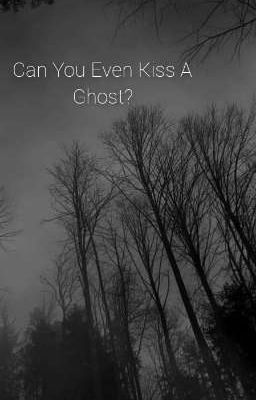 Can You Even Kiss A Ghost? (M!Reader x Dsmp!Wilbur) cover