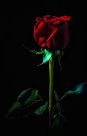 Holding A Blood Red Rose by Ryanolan2003