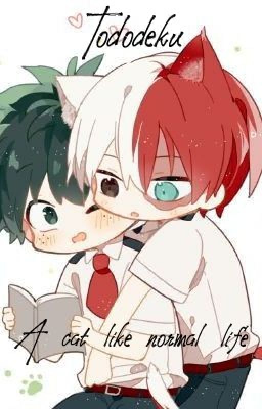 Tododeku a cat like normal life by NathyShouto