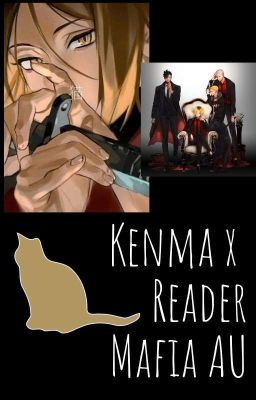 Kenma x Reader |Haikyuu Mafia AU cover