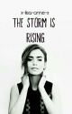 The Storm is Rising || Johnny Storm by X-Lisa-Anne-X