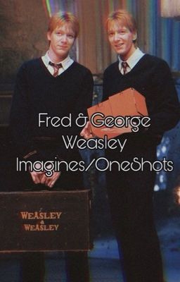 Fred & George Weasley Imagines/One Shots cover