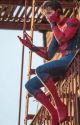 Peter Parker x reader love story *FINISHED 41 PARTS* by elexandrastar64