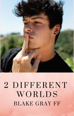 2 Different Worlds (Blake Gray ff) cover