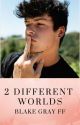 2 Different Worlds (Blake Gray ff) by _blossom_blue_