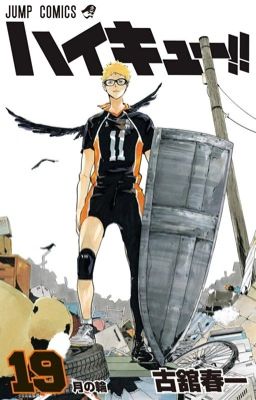 Tsukishima Kei x Reader  cover