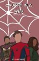 Caught in a Web - Peter Parker x Reader by randomwriter4269