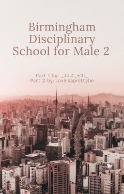 Birmingham Disciplinary School for Male - L.S. 2 cover