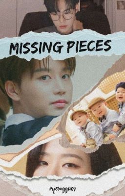 missing pieces | doil cover