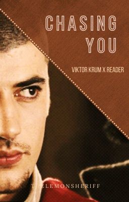 Chasing You (Viktor Krum X Reader) cover