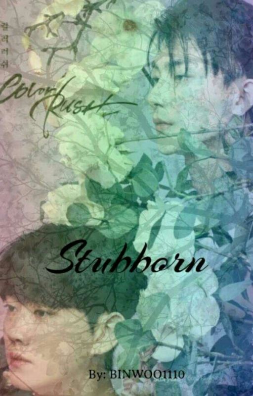 Stubborn ● Color Rush by BINWOO1110