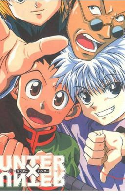 Hunter X Hunter  Scenarios  cover