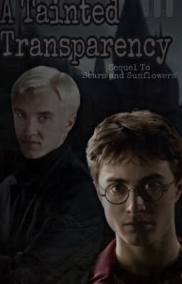 tainted transparency || a harry potter story  cover