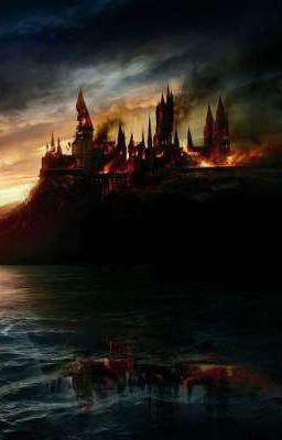 The battle of Hogwarts  /D.M. cover