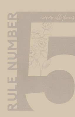 Minsung | Rule Number Five cover