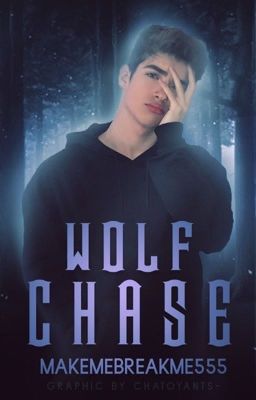 Wolf Chase |  ✔️ cover