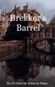 Brekker's Barrel  by demjinridley