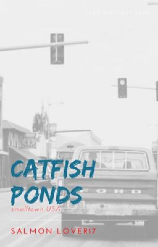 Catfish Ponds: small town USA by salmonlover17