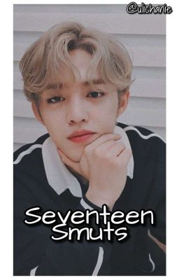 Seventeen Imagines & Smuts | 18  cover