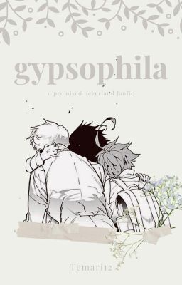 gypsophila || tpn cover