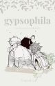 gypsophila || tpn by Temari12