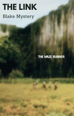 The Link // Maze Runner Fanfiction // Book 1 cover