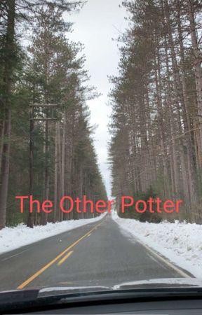 The Other Potter by ReadWriteAndRide