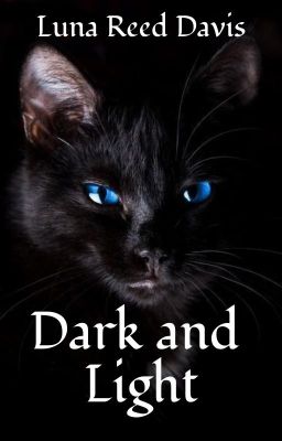 Dark and Light cover