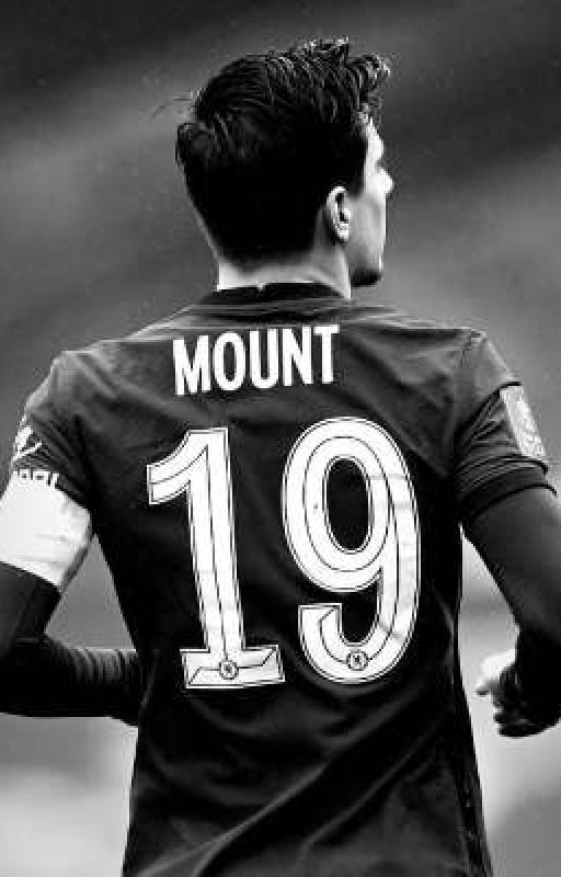 Mason Mount x reader by tyna-19