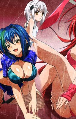 High school DxD X Male Author cover