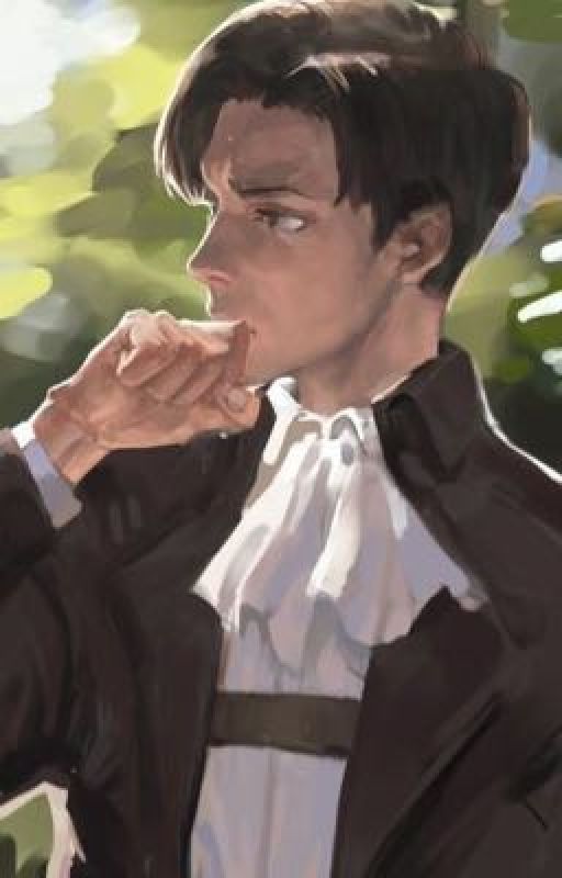 Levi x Reader Oneshots  by AckermanDarling