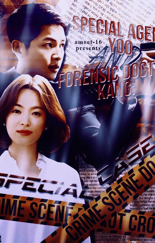 Special Agent Yoo and Forensic Doctor Kang: Special Case by amoets