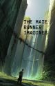 The Maze Runner imagines/preferences  by bryanodylan826