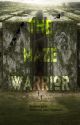 The Maze Warrior *TMR X Reader* by EllieBellsStoriesX