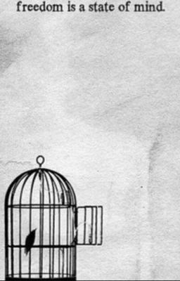 Bird in a cage [Levi x Reader] cover