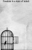 Bird in a cage [Levi x Reader]