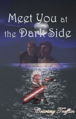 Meet You at the Dark Side cover