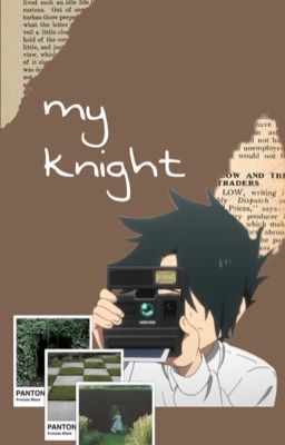 my knight (ray x reader)  cover