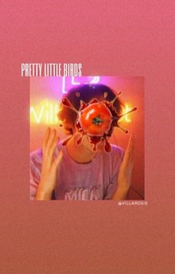 pretty little birds | wilbur soot  cover