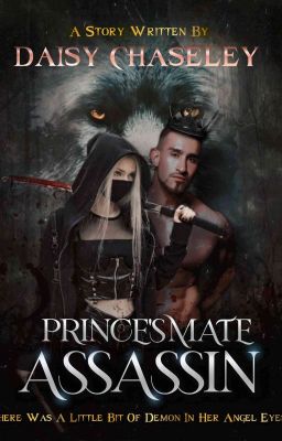 Prince's Assassin Mate cover