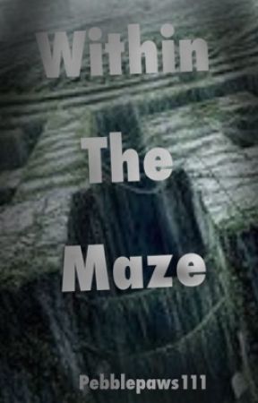 Within The Maze [Maze Runner] by pebblepaws111