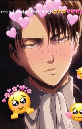 Levi x Reader uwu owo💓💓💖💖💖🥺 by hisokaszaddy