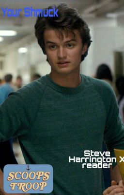 Your Schmuck- Steve Harrington x Reader cover