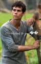 Addicted to you|Thomas x reader;) by Newtsintheglade