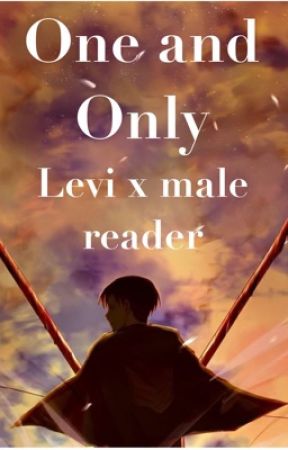 One And Only (Levi X Male Reader) by Zanarchy7