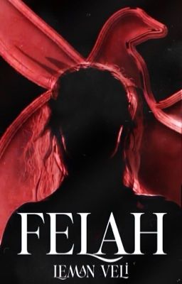 FELAH cover