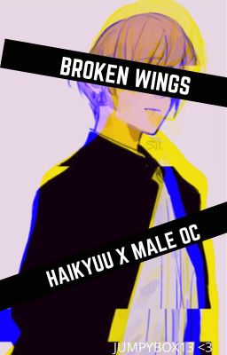 Broken Wings- Haikyuu! X Male OC cover